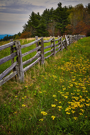 Blue Ridge Parkway