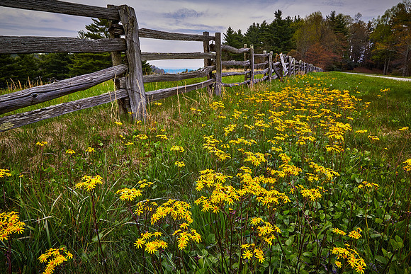 Blue Ridge Parkway