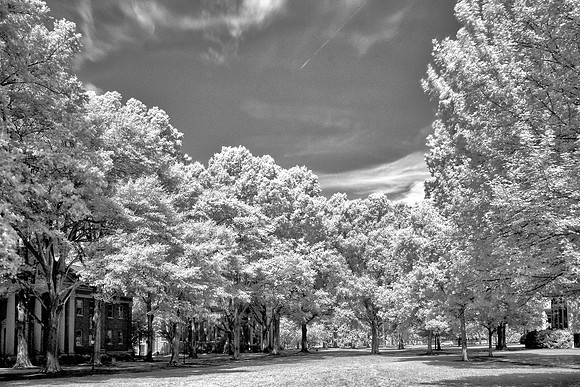 Davidson College - Infrared