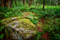 2015 June - Blue Ridge Parkway