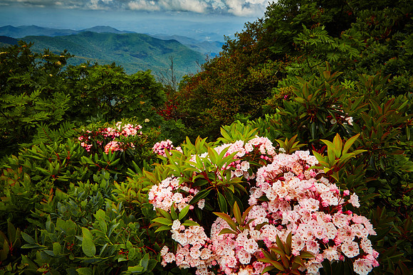 Blue Ridge Parkway, NC