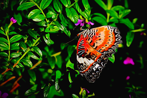 Magic Wings Butterfly House, Durham, NC