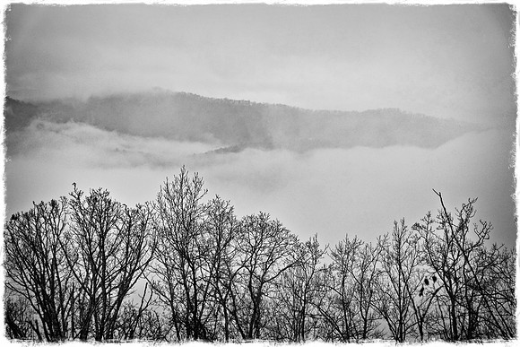 Bull Gap, Blue Ridge Parkway, NC