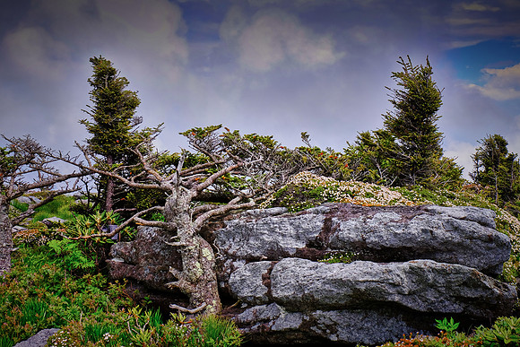 Grandfather Mountain, NC