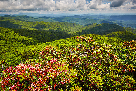 Hawksbill Mountain, Linville Gorge, NC