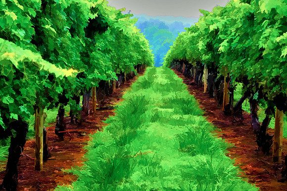 2014 Aug - Shelton Vineyard, NC