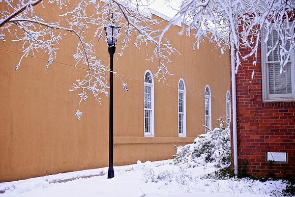 Davidson in the Snow