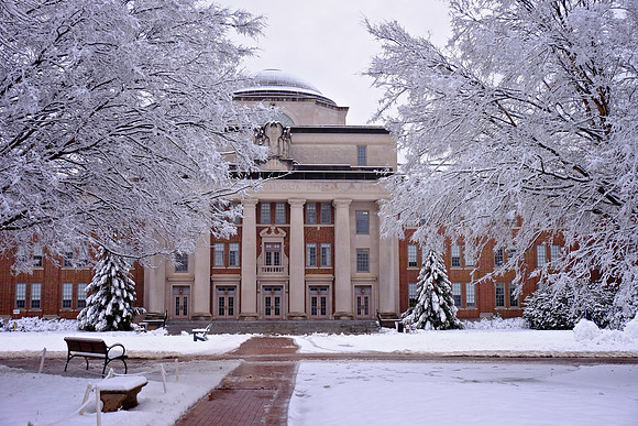 Davidson in the Snow