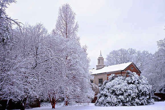 Davidson in the Snow