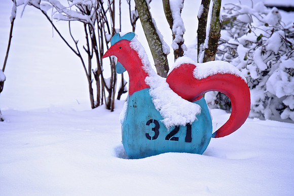 Davidson in the Snow