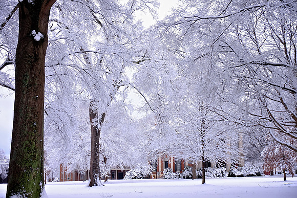 Davidson in the Snow
