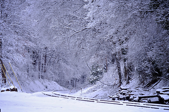 Davidson in the Snow