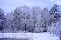 2015 Feb - Davidson in the Snow