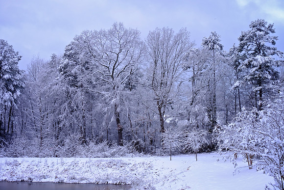 Davidson in the Snow