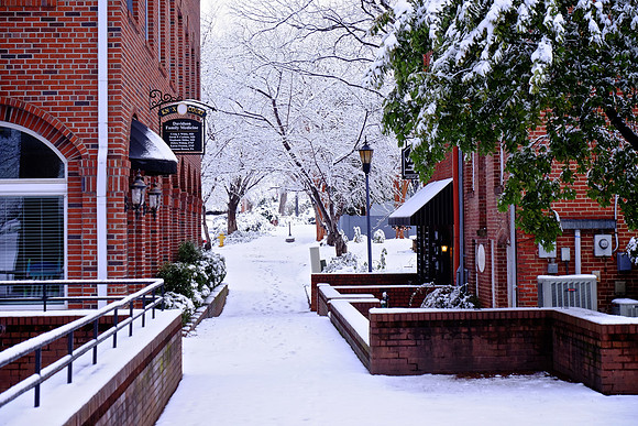 Davidson in the Snow