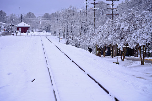 Davidson in the Snow