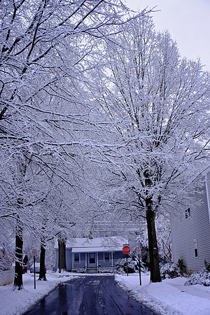 Davidson in the Snow