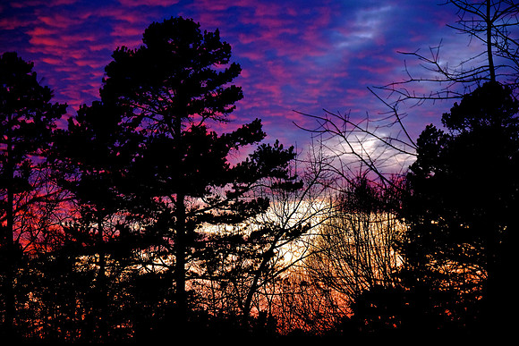 Naramore Sunset