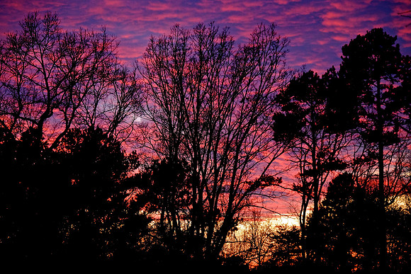 Naramore Sunset