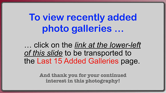 CLICK ON LINK AT LEFT: