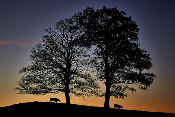 Sunrise along the Blue Ridge Parkway, NC