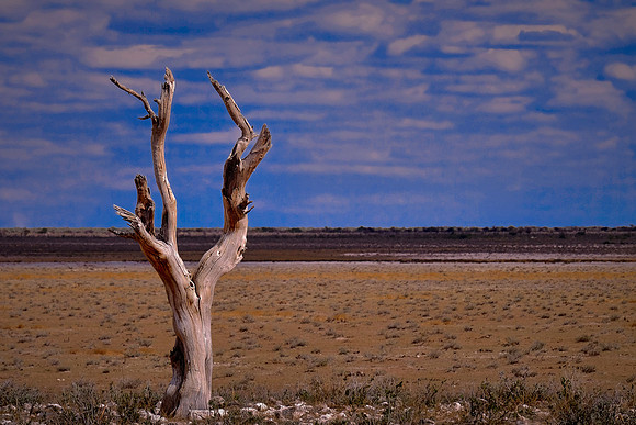 Etosha National Park, northwest Namibia