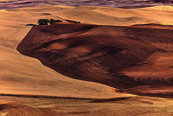 The Palouse, Southeastern Washington