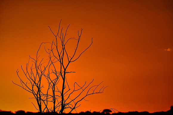 Sunset over  Etosha National Park, northwest Namibia