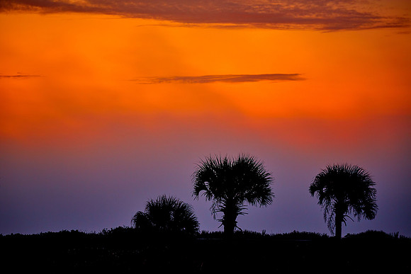 Sunrise, Atlantic coast, Palm Coast, FL