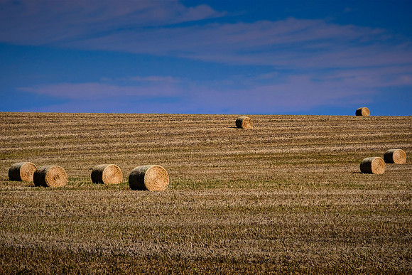 Scenic, SD