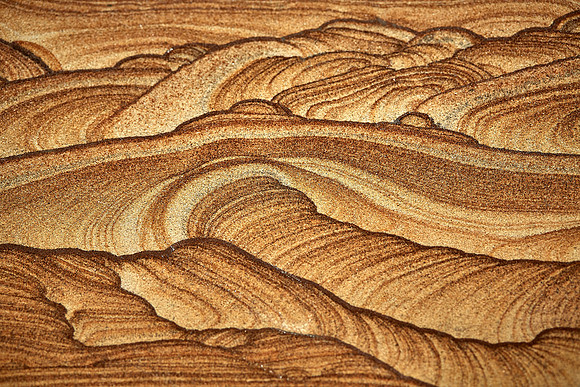 Bob Campbell Geology Museum, Clemson University, Clemson, SC