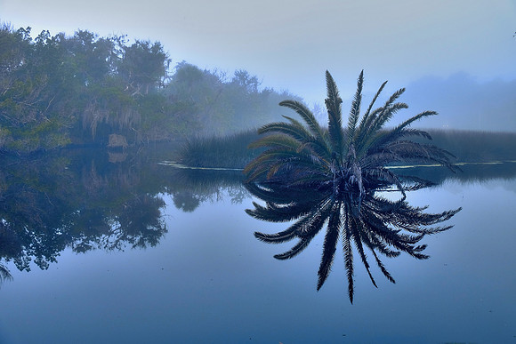 Tomoka State Park, Ormond Beach, FL