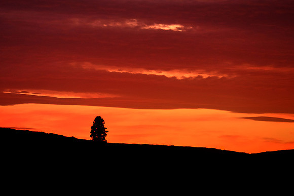 Sunset on The Palouse, Southeastern Washington