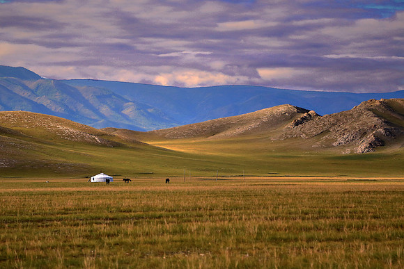 Northern Mongolia landscape