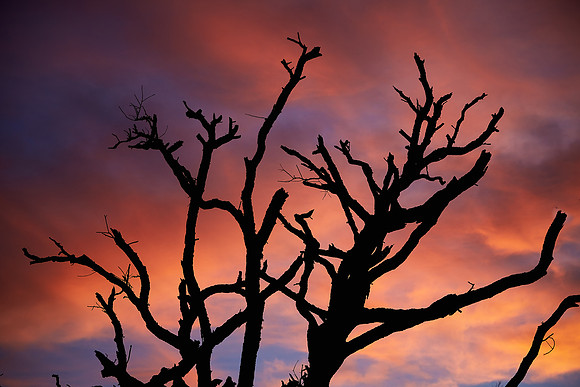 Botany Bay Plantation, Edisto Island, South Carolina