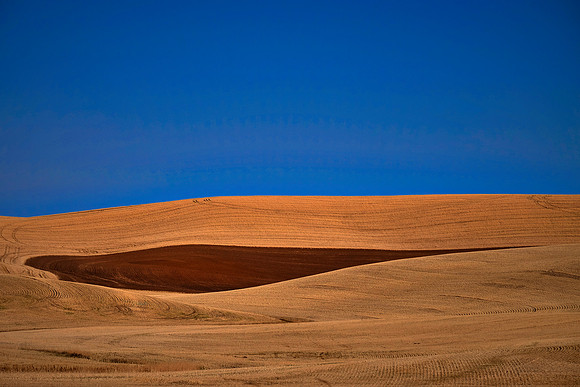 The Palouse, Southeastern Washington
