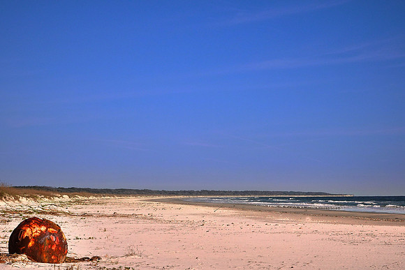 Beach region, Cumberland Island