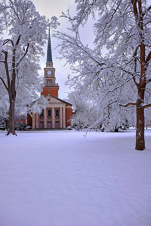 Davidson in the Snow