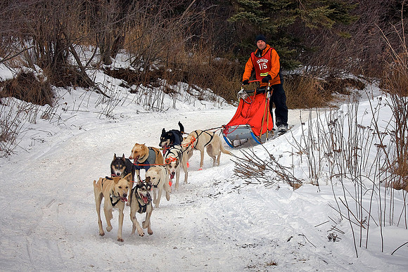 John Beargrease Sleddog Marathon, Duluth, Minnesota