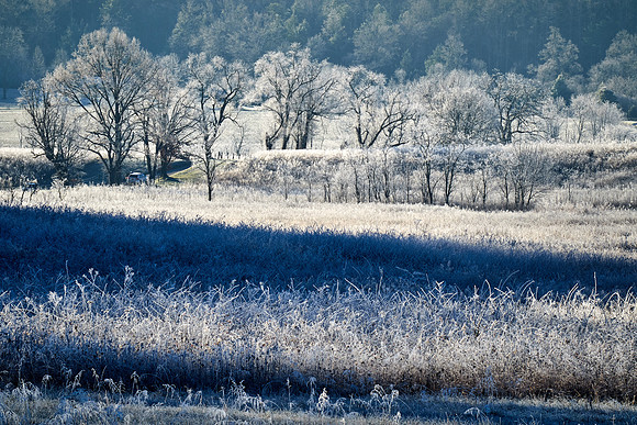 Cades Cove, GSMNP, Tennessee