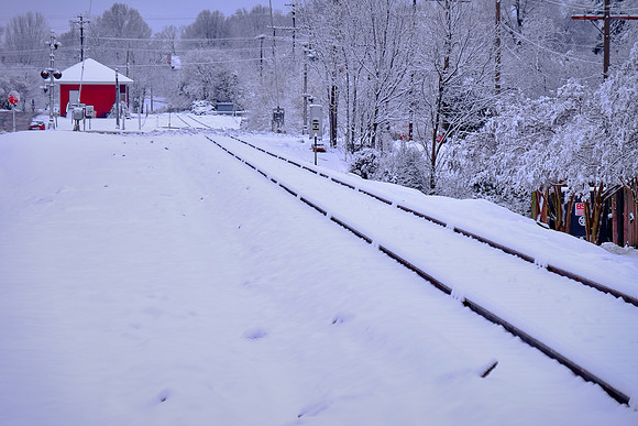 Davidson in the Snow