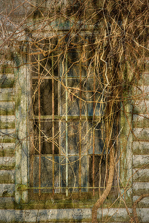 Vacation cottages, Outer Banks, NC