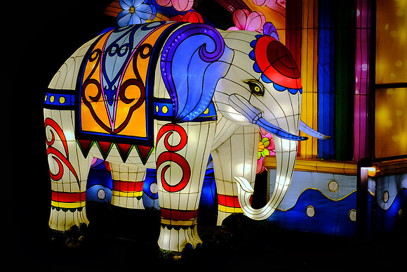 Chinese Lantern Festival