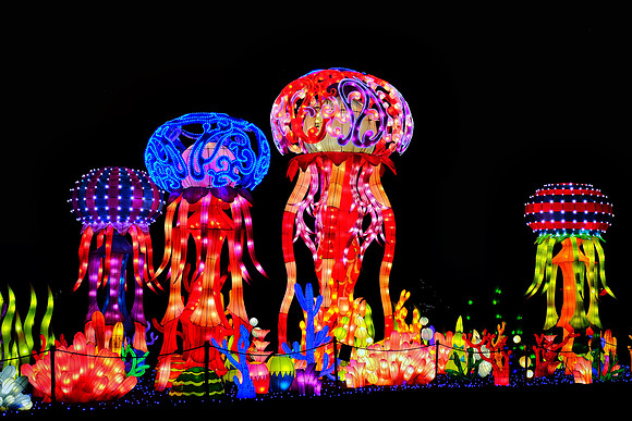 Chinese Lantern Festival