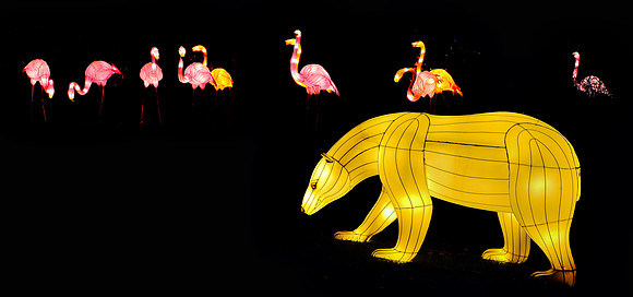 Chinese Lantern Festival