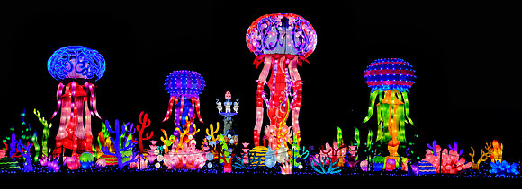 Chinese Lantern Festival