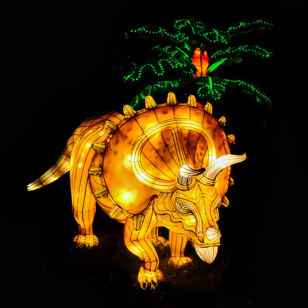 Chinese Lantern Festival