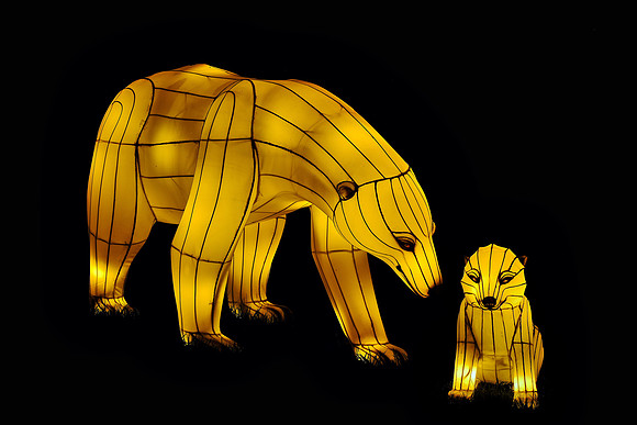 Chinese Lantern Festival