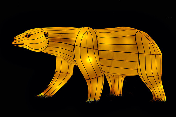Chinese Lantern Festival