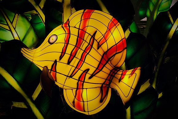 Chinese Lantern Festival
